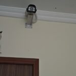 IMG_20250624_193137.jpg